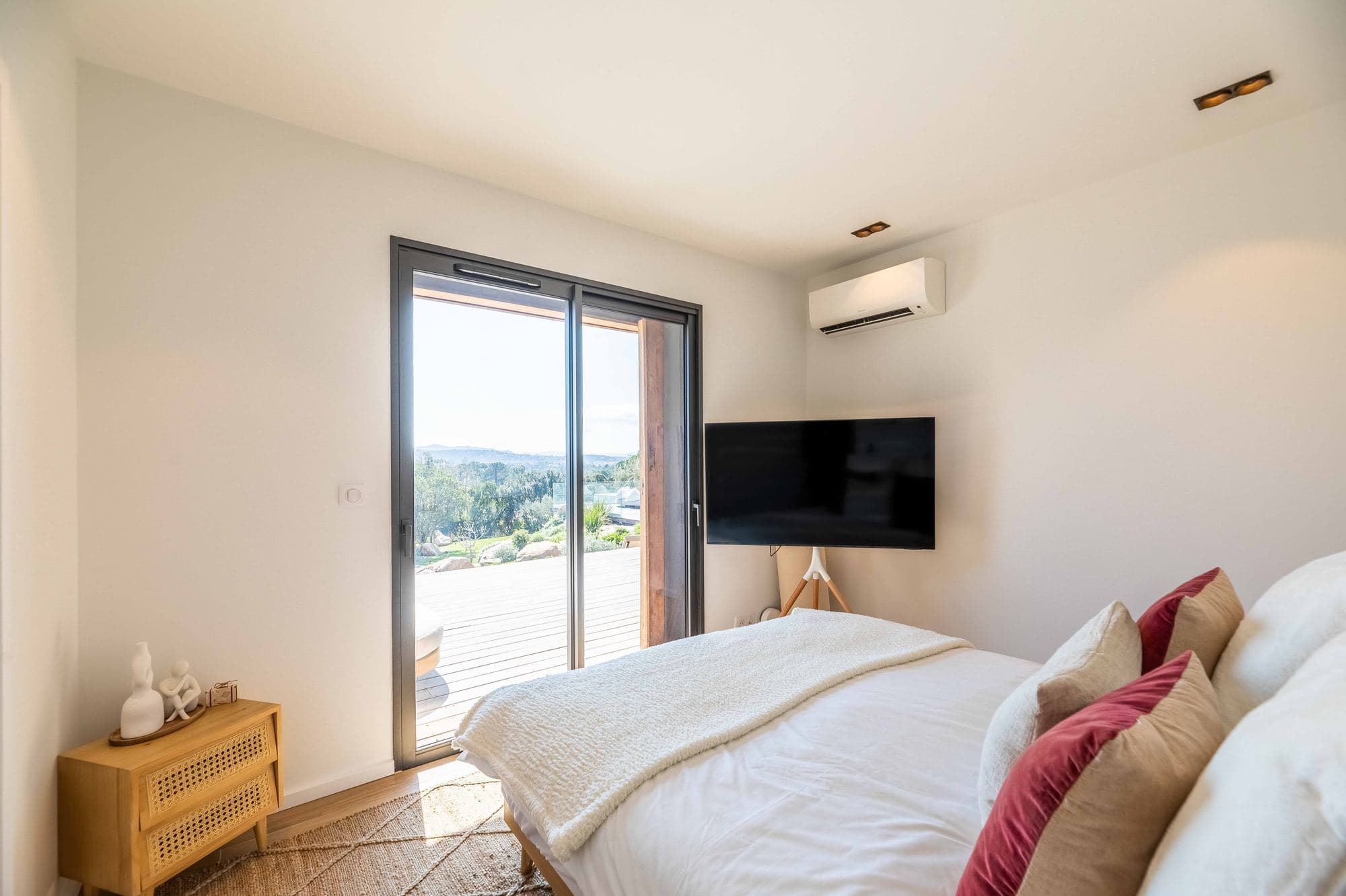 Suite with terrace access
